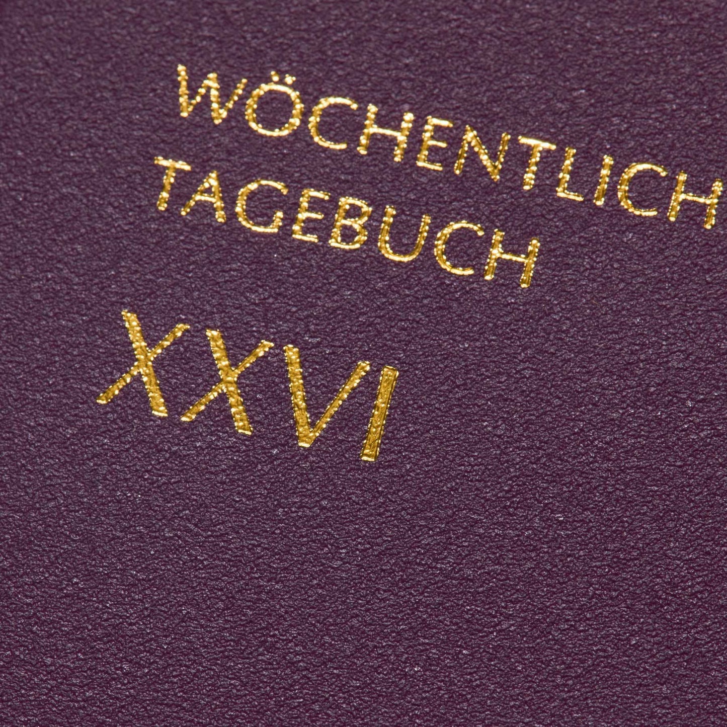 【2026年版】 ダイアリー ヴェルタ― 10月始まり B6 ブロック